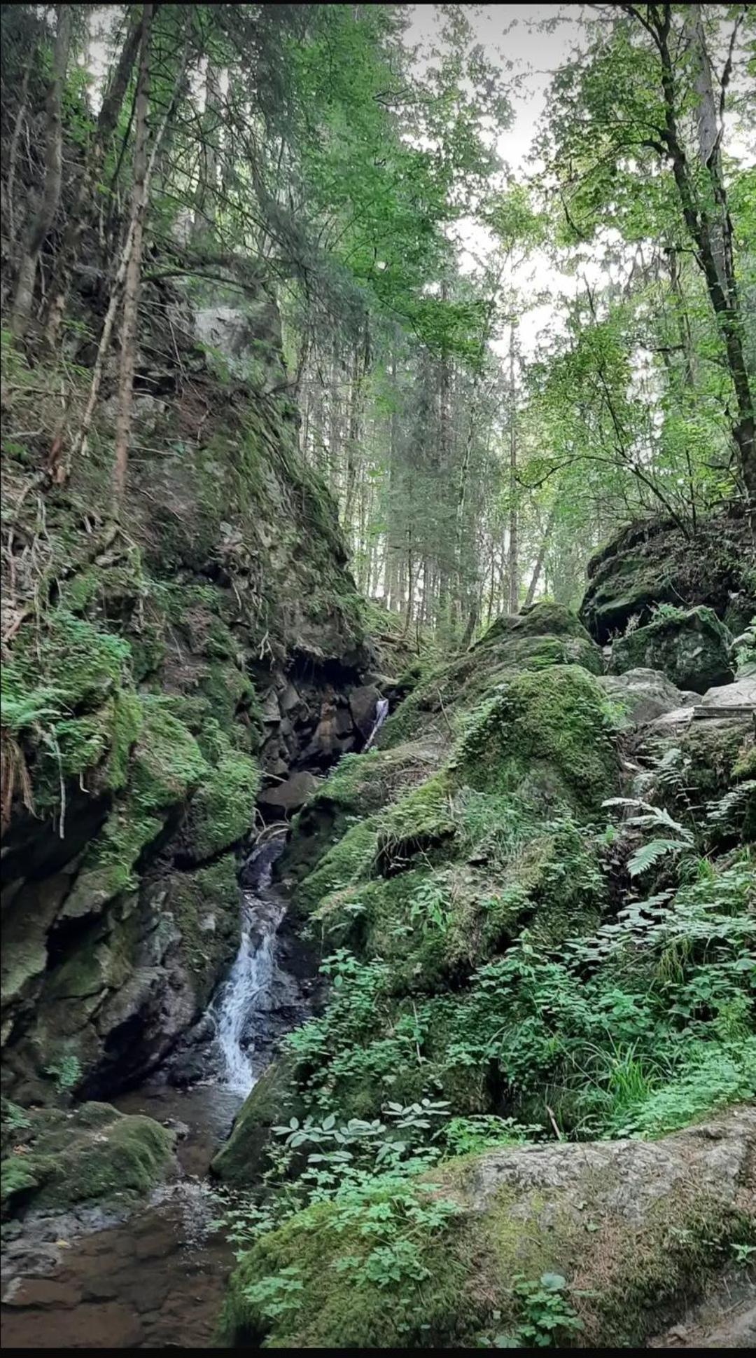 Ferienwohnung Schwarzwaldglueck Löffingen Exterior foto